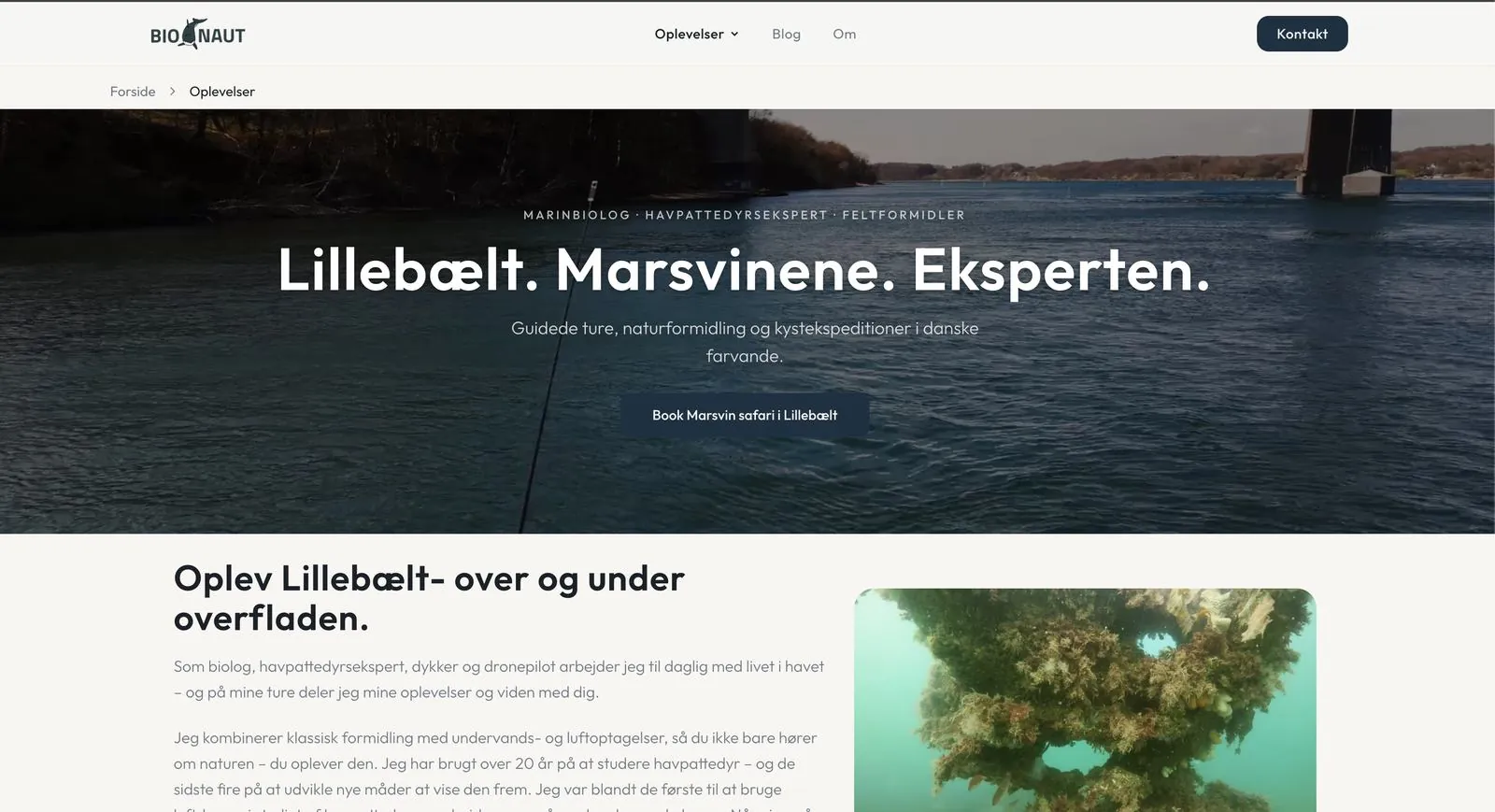 Bionaut: booking, betaling og formidling for en marinbiolog på én platform